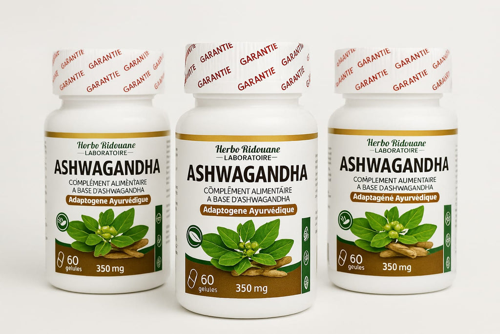 Complemento Alimenticio de Ashwagandha – Herbo Ridouane