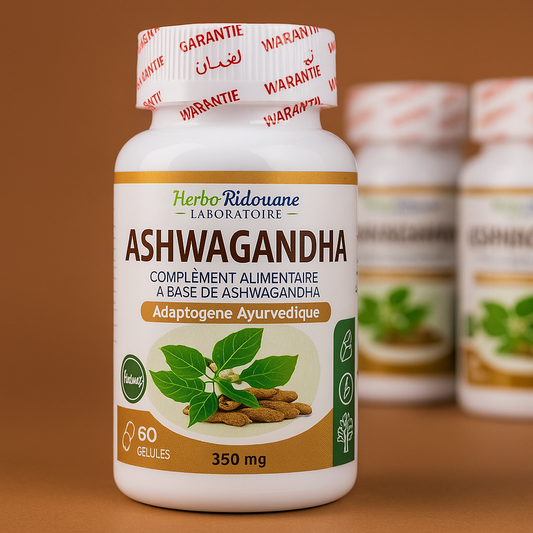 Complemento Alimenticio de Ashwagandha – Herbo Ridouane